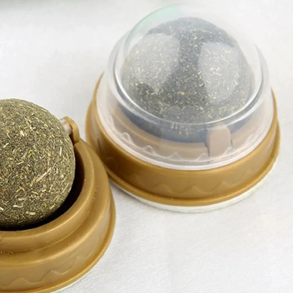 Catnip Toy Balls - Interactive Licking Snack with Molar Teeth Benefits for Cats