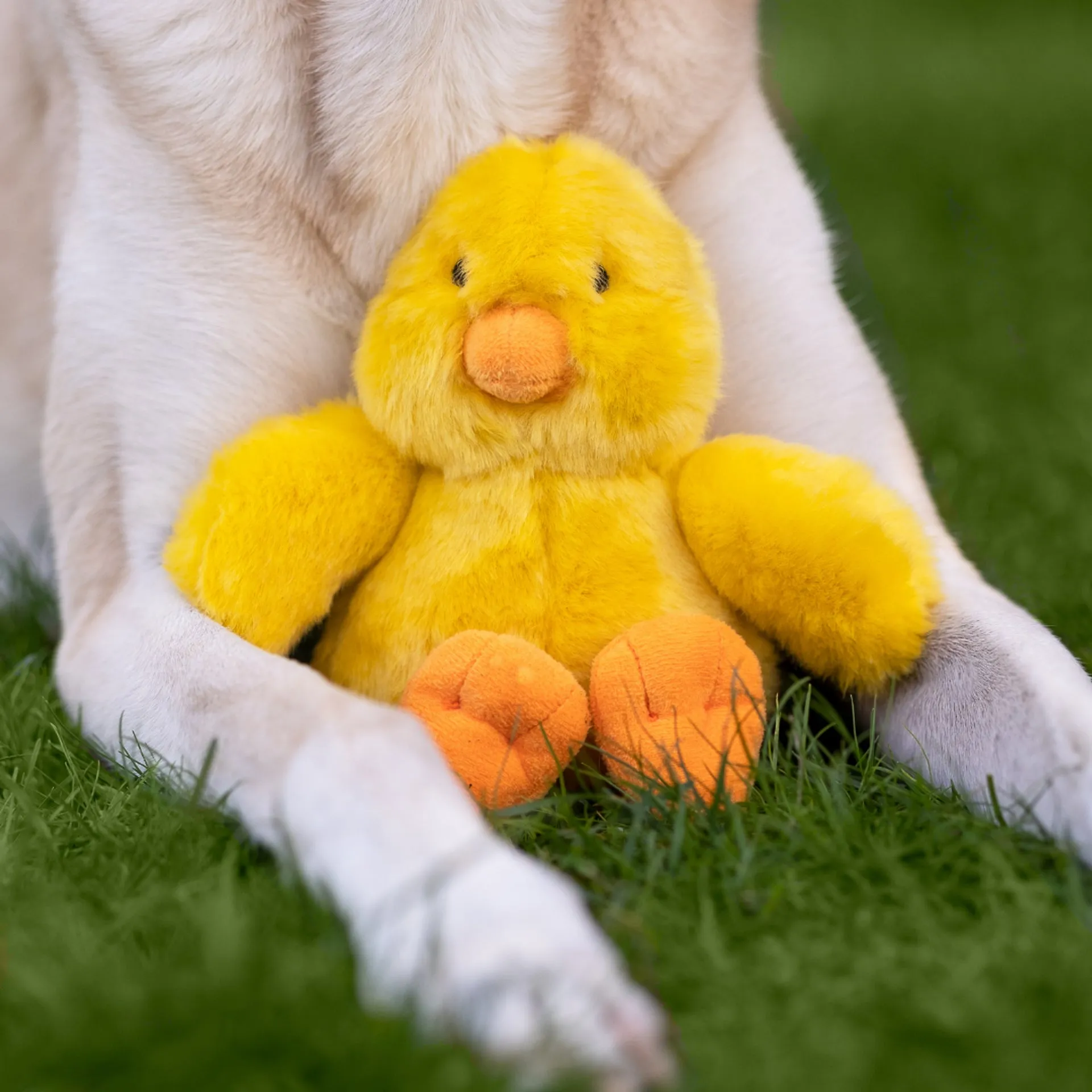 Fluff & Tuff - Howie the Duck