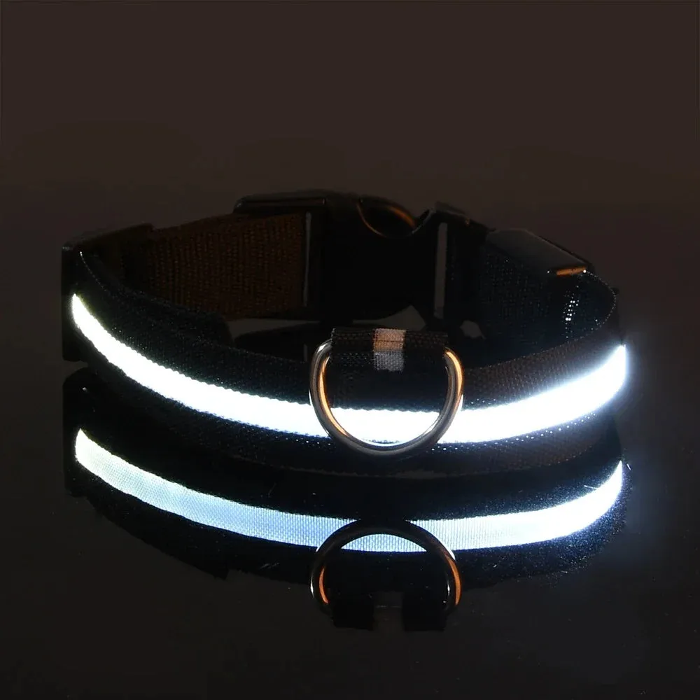 LED Glow-in-the-Dark Pet Collar