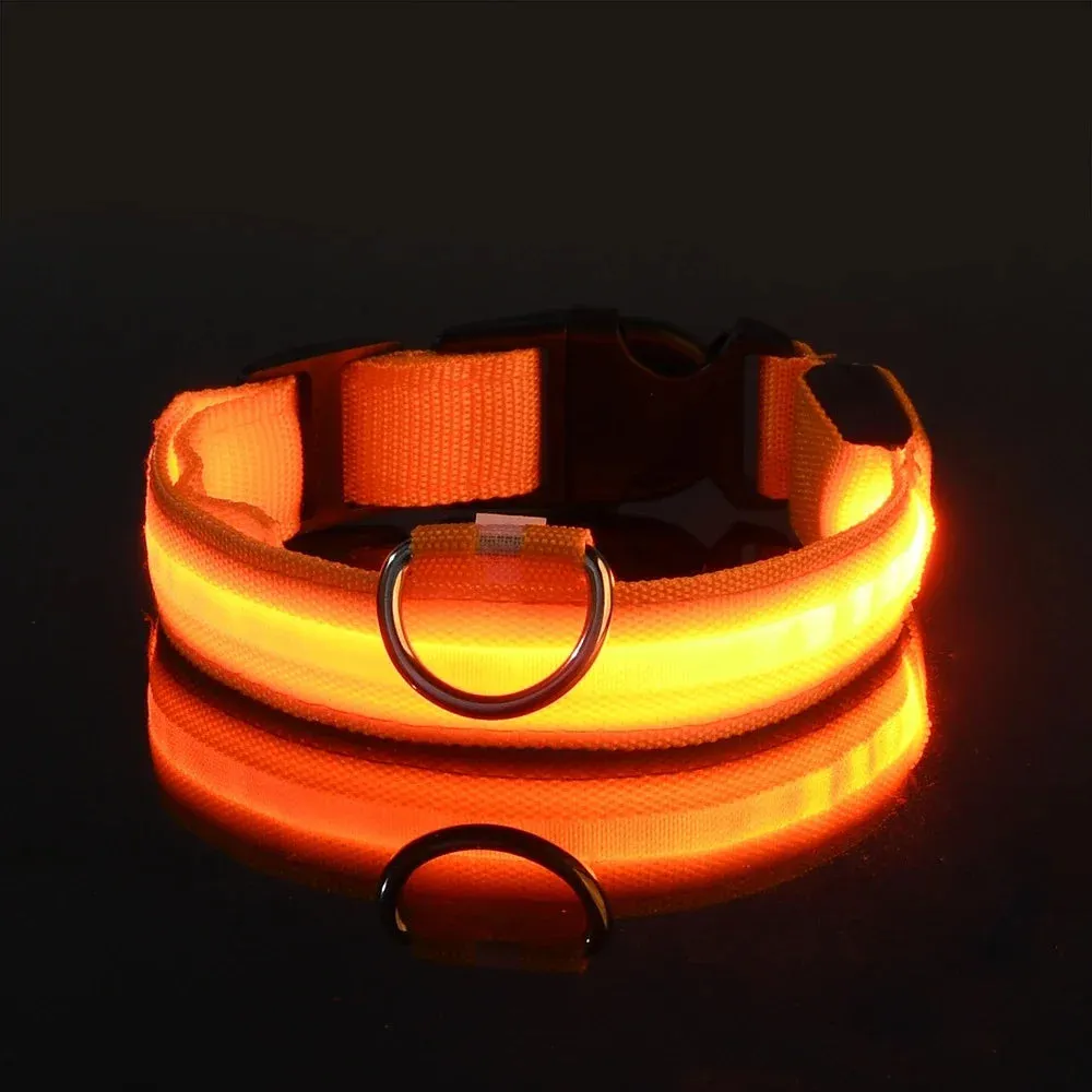 LED Glow-in-the-Dark Pet Collar