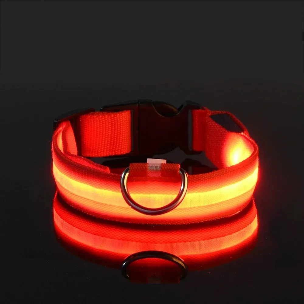 LED Glow-in-the-Dark Pet Collar