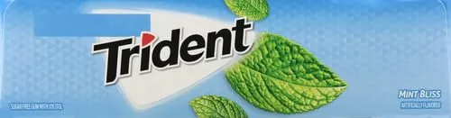 Trident Mint Bliss Sugar Free Gum, 12 Packs of 14 Pieces (168 Total Pieces)